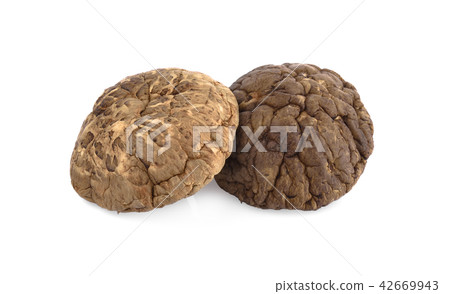 shiitake mushrooms, chinese mushrooms on white shiitake mushrooms, chinese mushrooms on white 42669943