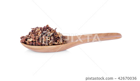 Dry Zanthozylum limonella Alston in wooden spoon 42670036