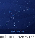 Constellation Musca, Fly, night star sky 42670477