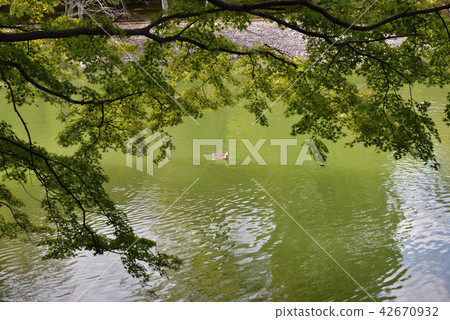 南開Sengong皇宮 42670932