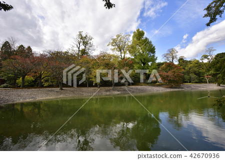 南開Sengong皇宮 42670936