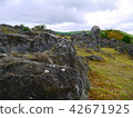 Limestone 42671925