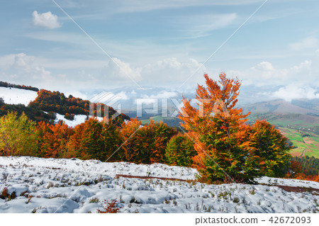 Amazing scene on autumn mountains 42672093