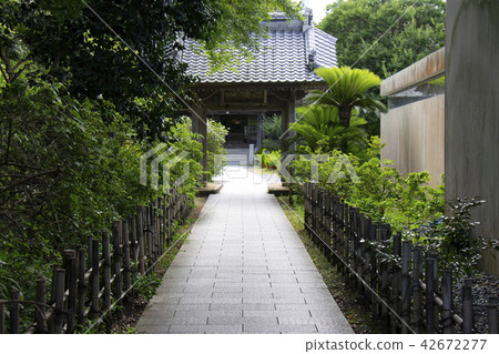 Roshi-ji Temple Roshi-ji Temple 42672277