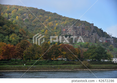 Rhine Cruise, Germany Rhine Cruise, Germany 42672286