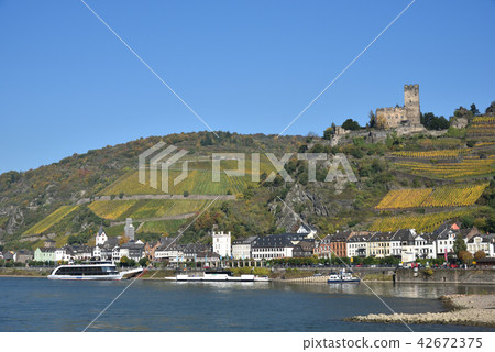 Rhine Cruise, Germany 42672375