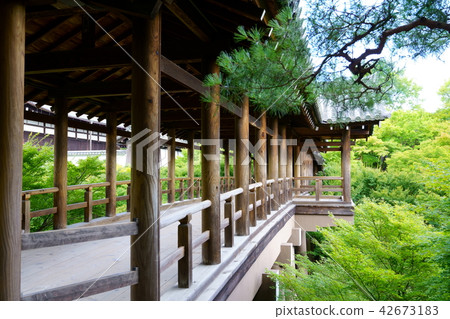 [Kyoto] Tōfukuji 42673183