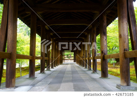 [Kyoto] Tōfukuji 42673185