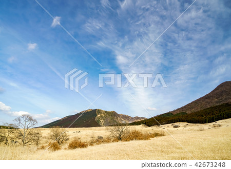 塚原溫泉別府溫泉 42673248