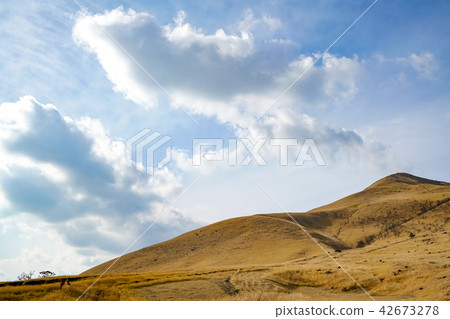 塚原溫泉別府溫泉 塚原溫泉別府溫泉 42673278