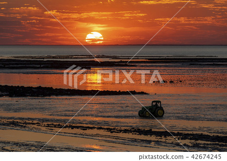 Chatelaillon Plage - Sunset - France Chatelaillon Plage - Sunset - France 42674245