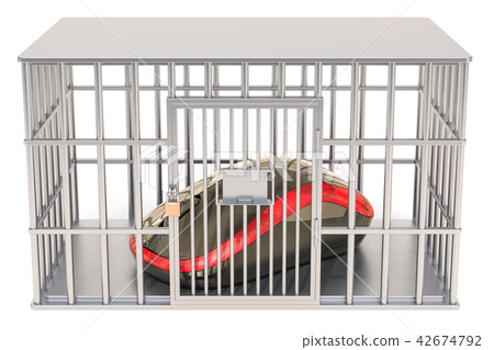 Computer mouse inside cage, prison cell 42674792