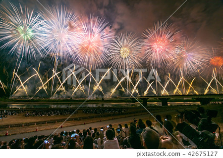 Nagaoka Festival Great Fireworks Festival Phoenix 42675127
