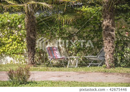 Two beach chairs in shadow of two palm trees Two beach chairs in shadow of two palm trees 42675446
