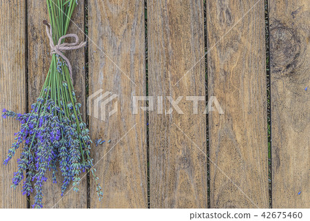 Bouquet of lavenders flowes Bouquet of lavenders flowes 42675460