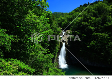 Summer legal waterfall 42675484