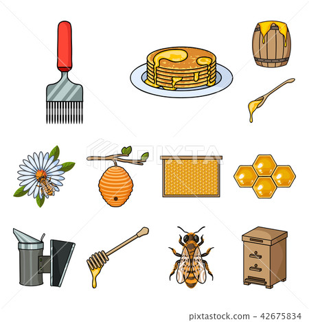 Apiary and beekeeping cartoon icons in set collection for design.Equipment and production of honey Apiary and beekeeping cartoon icons in set collection for design.Equipment and production of honey 42675834