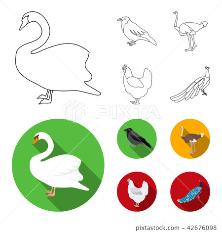 Crow, ostrich, chicken, peacock. Birds set collection icons in outline,flat style vector symbol 42676098