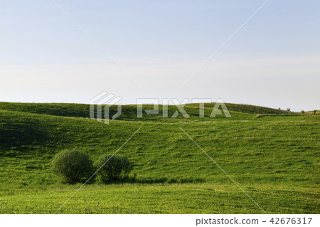 landscape at dawn landscape at dawn 42676317