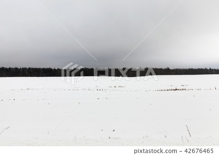 cloudy winter landscape cloudy winter landscape 42676465