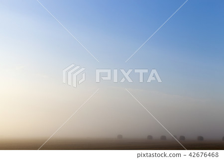 thick fog 42676468