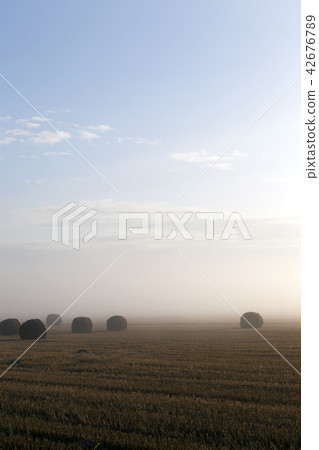 cylindrical straw stacks cylindrical straw stacks 42676789