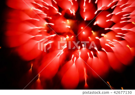 Fireworks of Ozu City, Shining in the Night Sky 42677130