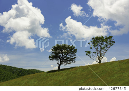 Orikasa牧場的夏天4 Orikasa牧場的夏天4 42677845