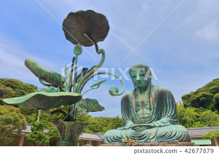 Kamakura Great Bodhisattva under clear weather Kamakura Great Bodhisattva under clear weather 42677879
