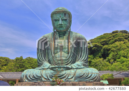 鎌倉大菩薩在晴朗的天氣下 鎌倉大菩薩在晴朗的天氣下 42677880