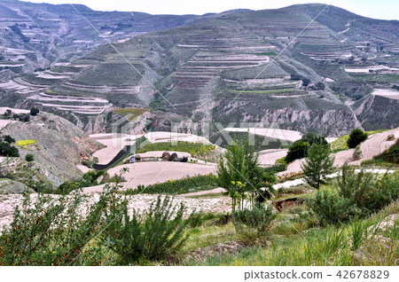A tiered field of the Loess Plateau that plows to the sky 42678829