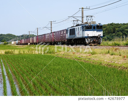 Fast running EF 64 Fast running EF 64 42678977
