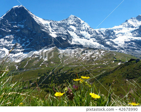 從遠足徑觀看從Mörnchen到Kleine Scheideg 從遠足徑觀看從Mörnchen到Kleine Scheideg 42678990