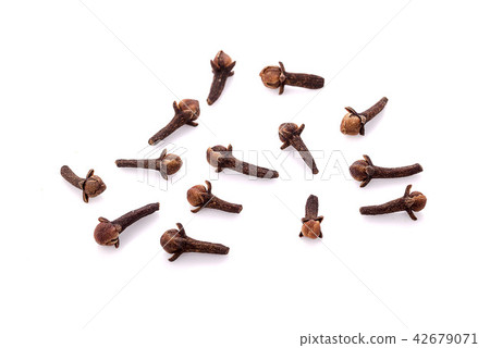 dry cloves on white background dry cloves on white background 42679071