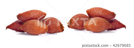 Salacca wallichiana isolated on white background 42679085