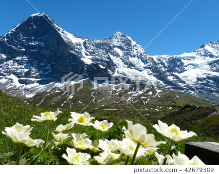 View from hiking trail from Mörnchen to Kleine Scheideg View from hiking trail from Mörnchen to Kleine Scheideg 42679389