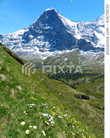 View from hiking trail from Mörnchen to Kleine Scheideg View from hiking trail from Mörnchen to Kleine Scheideg 42679439