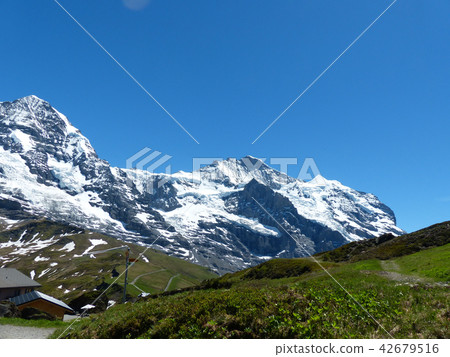 從遠足徑觀看從Mörnchen到Kleine Scheideg 42679516