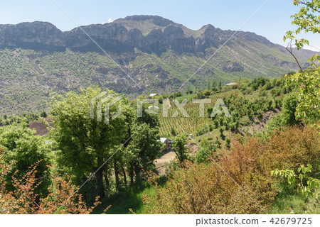 Landscape in Karadut Village. Turkey 42679725