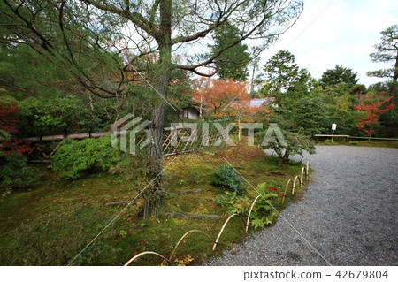 From Koetsu-ji 42679804