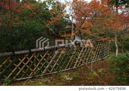 從Koetsu-ji 42679806