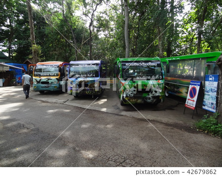泰國清邁清邁動物園 42679862