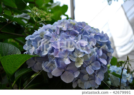 奧庫尼靈魂神社圖片 42679991