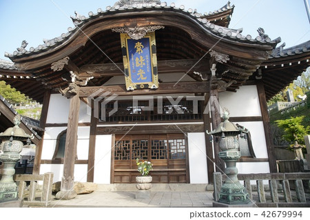 Kotodera Kotodera 42679994
