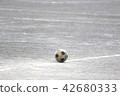 Kids football image 42680333
