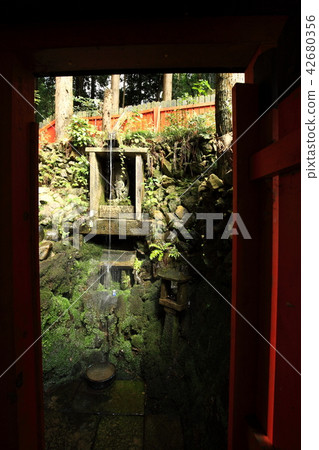 From Fushimi-Inari Taisha From Fushimi-Inari Taisha 42680356