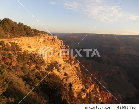 Grand Canyon shining in the morning sun 42681486