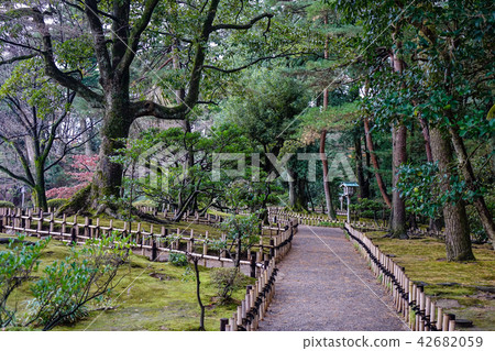 Walking road at Kenrokuen Garden 42682059