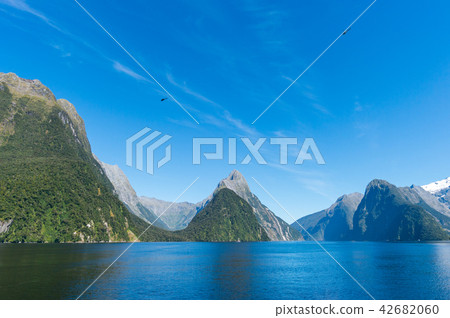 Milford Sound 42682060