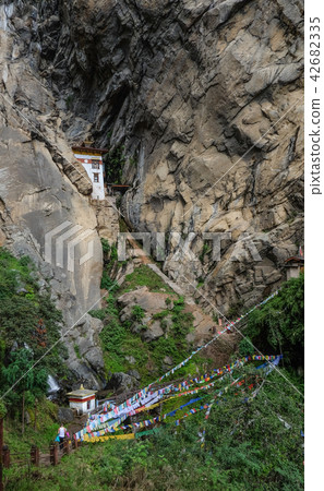 Forest trail to Taktshang Goemba 42682335